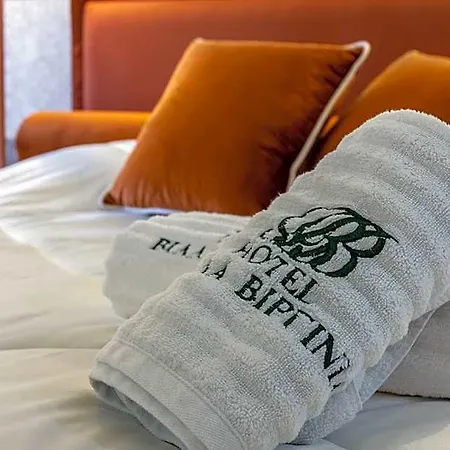Virginia Hotel 3*