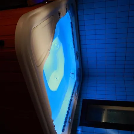 Virginia Hotel 3*