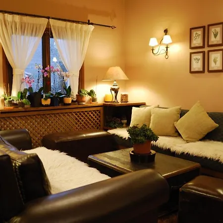 Virginia Hotel 3*